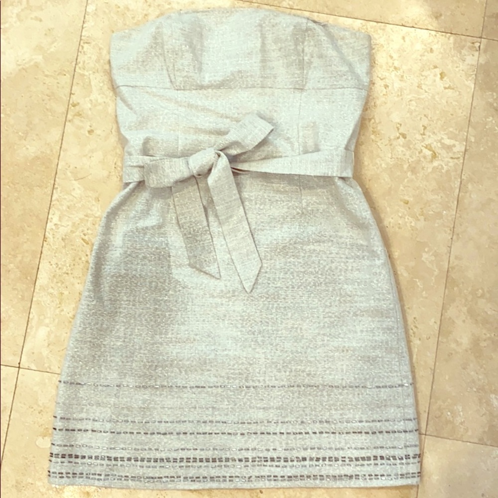 Silver Linen Strapless Dress